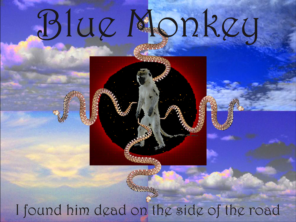bluemonkey